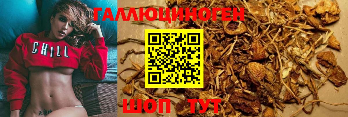 Галлюциногенные грибы мухоморы Рузаевка